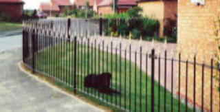 Wrought iron fencing